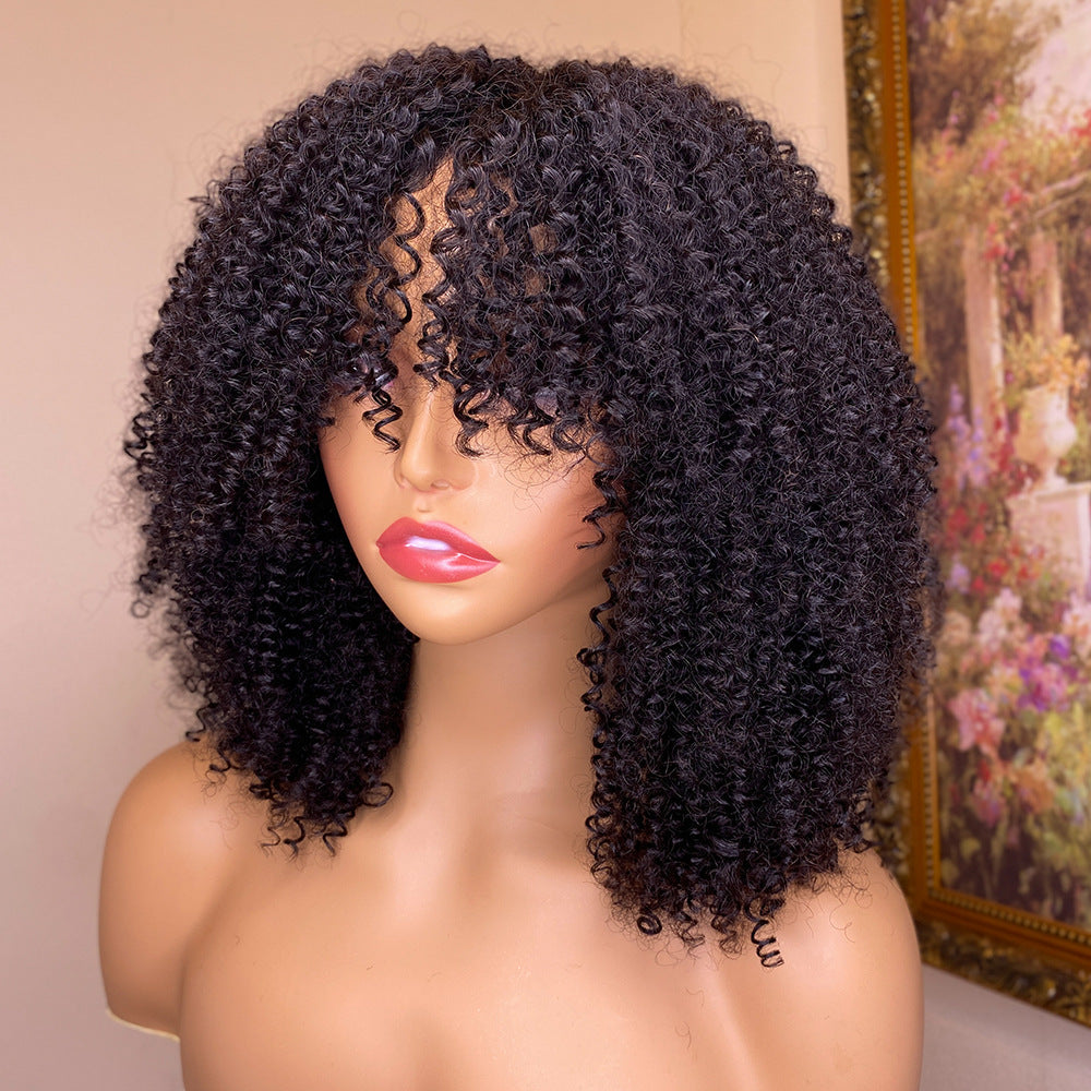 Human Hair Wigs